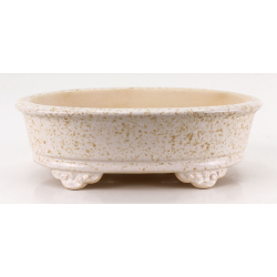 Bonsai pot FCH168 ZHANG ZHICHENG