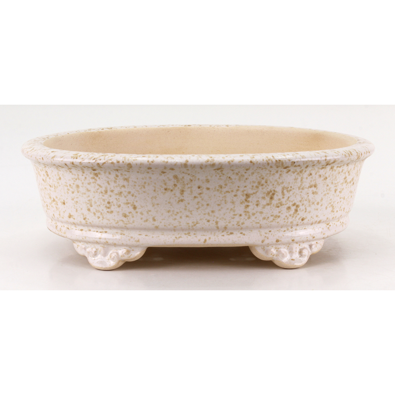 Bonsai pot FCH168 ZHANG ZHICHENG