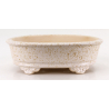 Bonsai pot FCH168 ZHANG ZHICHENG