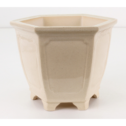 Bonsai pot FCH150 ZHANG ZHICHENG view 2