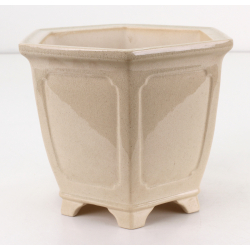 Bonsai pot FCH150 ZHANG ZHICHENG