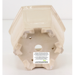 Bonsai pot FCH150 ZHANG ZHICHENG view 3
