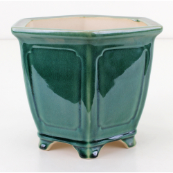 Bonsai pot FCH149 ZHANG ZHICHENG