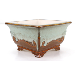 Bonsai pot FCH203 ZHANG ZHICHENG