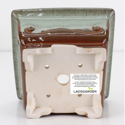 Bonsai pot FCH203 ZHANG ZHICHENG view 3