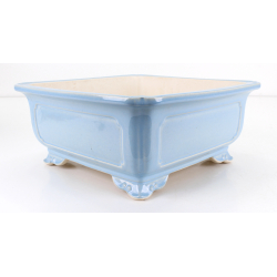 Bonsai pot FCH145 ZHANG ZHICHENG