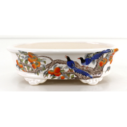 Bonsai pot FCH158 ZHANG ZHICHENG