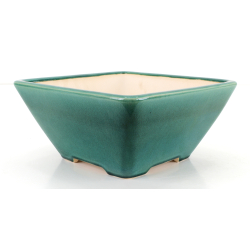 Bonsai pot FCH137 ZHANG ZHICHENG