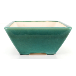 Bonsai pot FCH137 ZHANG ZHICHENG view 2