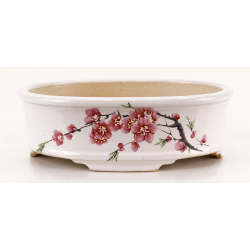 Bonsai pot FCH192 ZHANG ZHICHENG