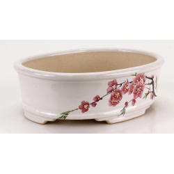 Bonsai pot FCH192 ZHANG ZHICHENG view 2