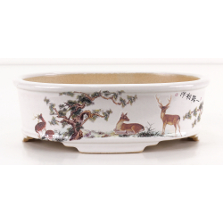 Maceta bonsái FCH193 ZHANG ZHICHENG