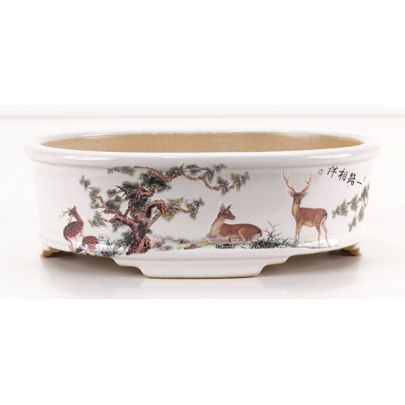 Maceta bonsái FCH193 ZHANG ZHICHENG Maceta bonsái FCH193 ZHANG ZHICHENG