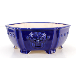 Bonsai pot FCH187 ZHANG ZHICHENG