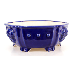 Bonsai pot FCH187 ZHANG ZHICHENG view 2