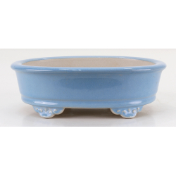 Bonsai pot FCH166 ZHANG ZHICHENG