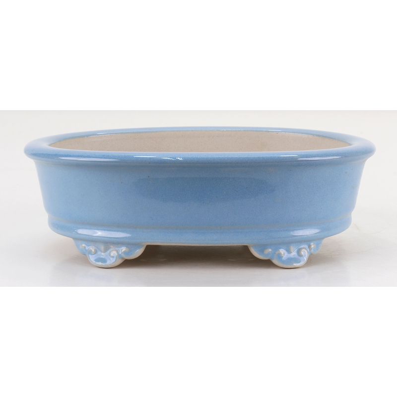 Bonsai pot FCH166 ZHANG ZHICHENG