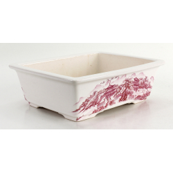 Bonsai pot FCH170 ZHANG ZHICHENG view 2