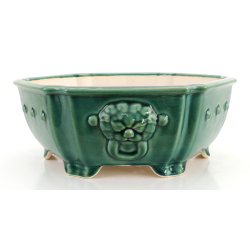Bonsai pot FCH165 ZHANG ZHICHENG