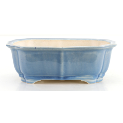 Bonsai pot FCH164 ZHANG ZHICHENG