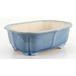 Bonsai pot FCH164 ZHANG ZHICHENG view 2