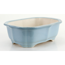 Bonsai pot FCH164 ZHANG ZHICHENG view 5