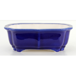 Bonsai pot FCH163 ZHANG ZHICHENG