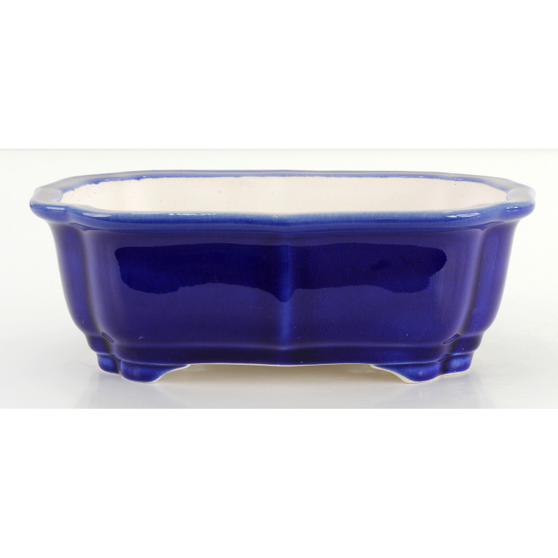 Bonsai pot FCH163 ZHANG ZHICHENG