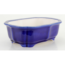 Bonsai pot FCH163 ZHANG ZHICHENG view 2