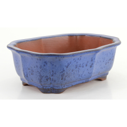 Bonsai pot FCH163 ZHANG ZHICHENG view 5