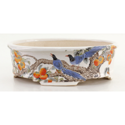 Bonsai pot FCH195 ZHANG ZHICHENG