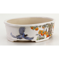 Bonsai pot FCH195 ZHANG ZHICHENG view 2