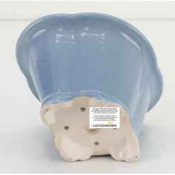 Bonsai pot FCH133 ZHANG ZHICHENG view 3