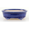Bonsai pot FCH167 ZHANG ZHICHENG