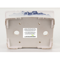 Bonsai pot FCH146 ZHANG ZHICHENG view 3