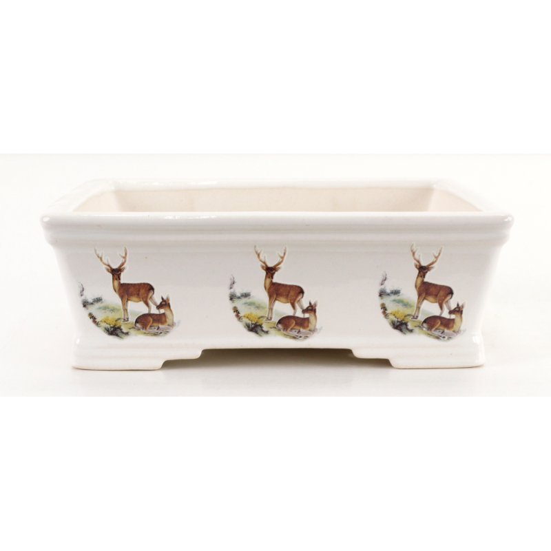Bonsai pot FCH148 ZHANG ZHICHENG