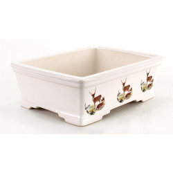 Bonsai pot FCH148 ZHANG ZHICHENG view 2
