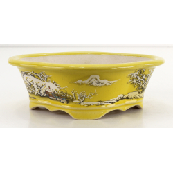 Bonsai pot FCH141 ZHANG ZHICHENG