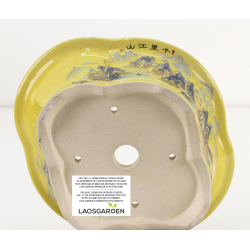 Bonsai pot FCH136 ZHANG ZHICHENG view 3