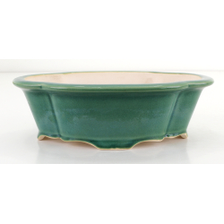 Bonsai pot FCH132 ZHANG ZHICHENG