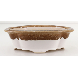 Bonsai pot FCH126 ZHANG ZHICHENG