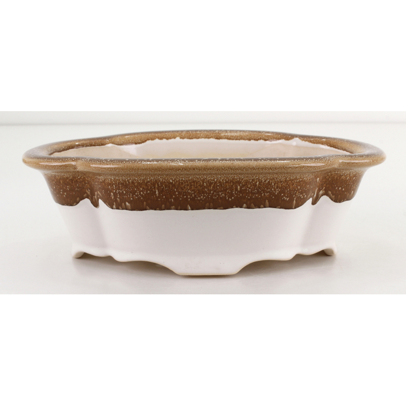 Bonsai pot FCH126 ZHANG ZHICHENG