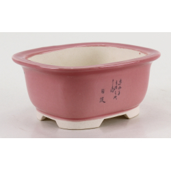 Bonsai pot JTA8600 BUNZAN view 2