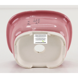 Maceta bonsái JTA8600 BUNZAN vista 3