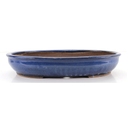 Bonsai pot JTA8591 EJIRI TAIZAN