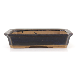 Bonsai pot JTA8598 HOUZAN SETO