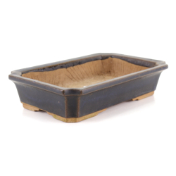Bonsai pot JTA8598 HOUZAN SETO view 2