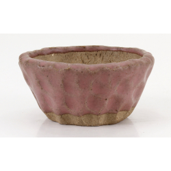Bonsai pot JTA8596 SHUHO SETO