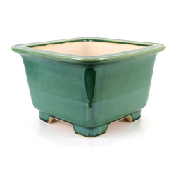 Bonsai pot FCH116 ZHANG ZHICHENG
