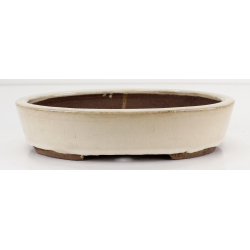 Bonsai pot JTA8569 EJIRI TAIZAN
